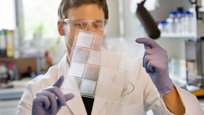 Scientist in a virus laboratory