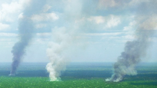 Aerial view of a rainforest with columns of smoke caused by illegal fire clearings.