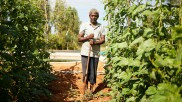organic farmer india