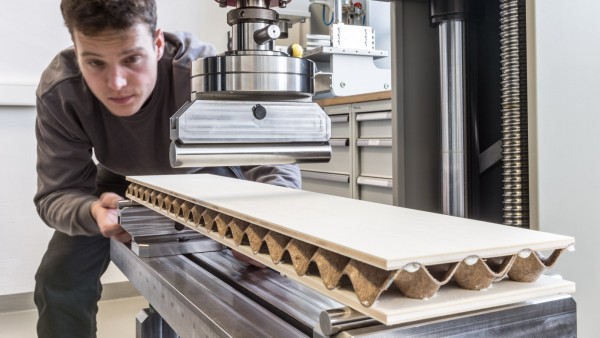 Leicht und stabil: Ingenieur entwickelt innovativen Holzwerkstoff aus nachhaltigen Rohstoffen