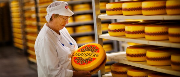 Dairy staff member with cheese wheel in a storage room