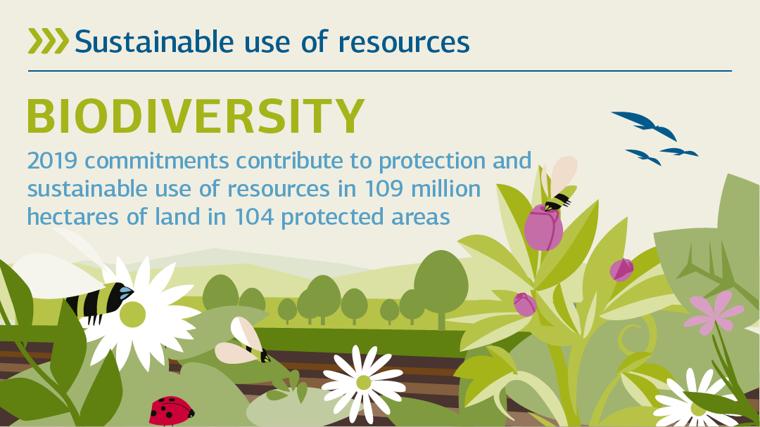 Illustration zu Biodiverisität : Ressourcen nachhaltig nutzen