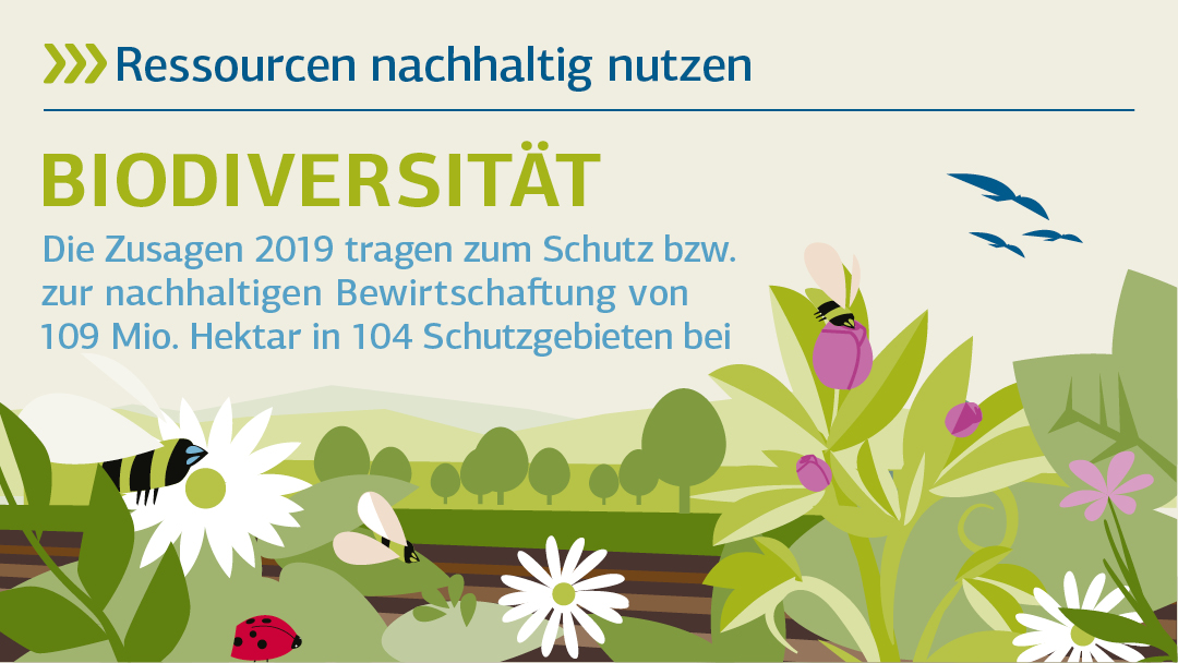 Illustration zu Biodiverisität : Ressourcen nachhaltig nutzen