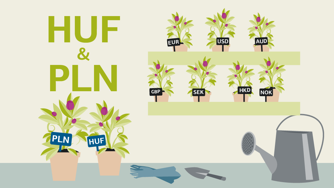 Illustration of nine flower pots, each holding a different currency symbol