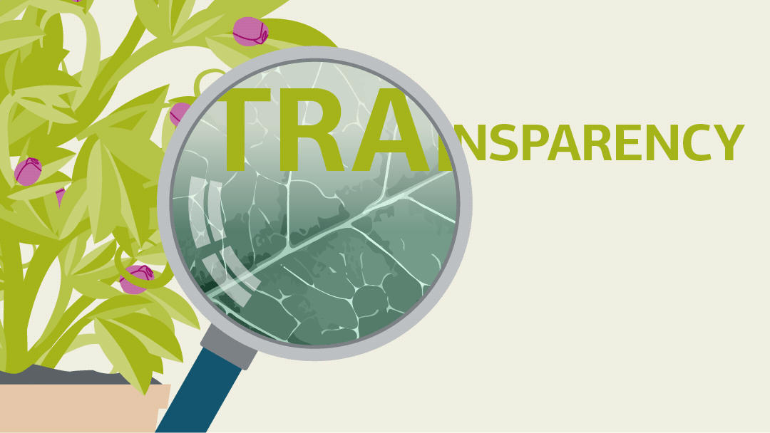 Illustration of looking at a leaf structure through a magnifying glass