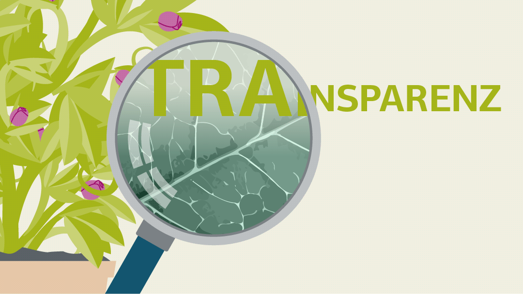 Illustration zum Thema Transparenz