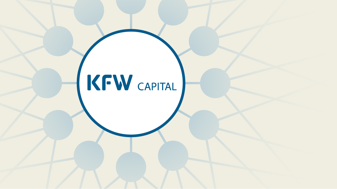 Illustration of a branching network with KfW Capital logo in the centre