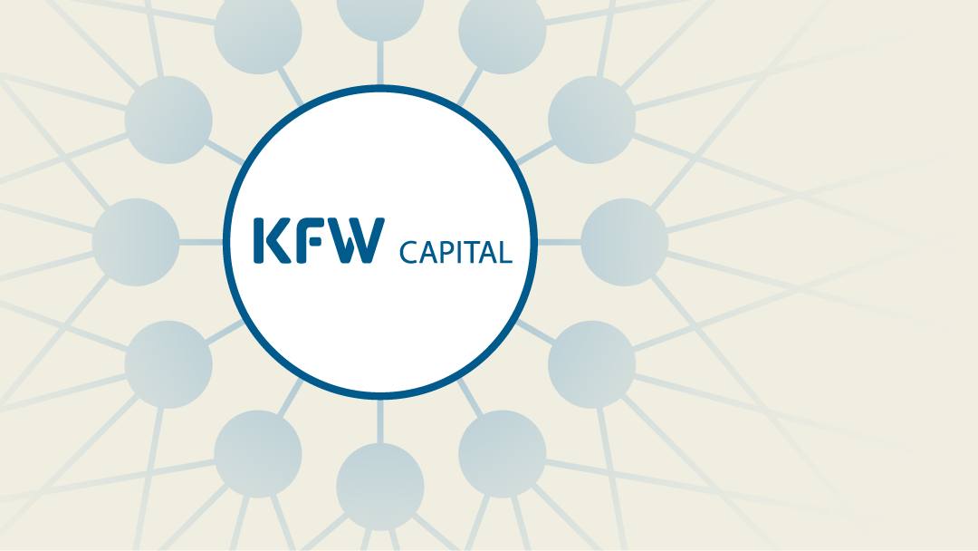 Illustration eines sich verzweigenden Netzwerkes mit KfW Capital-Logo im Zentrum