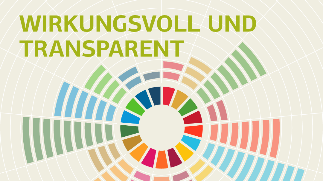 Illustration zum Thema SDG:: vereinfachte Darstellung der SDG-Kreisgrafik