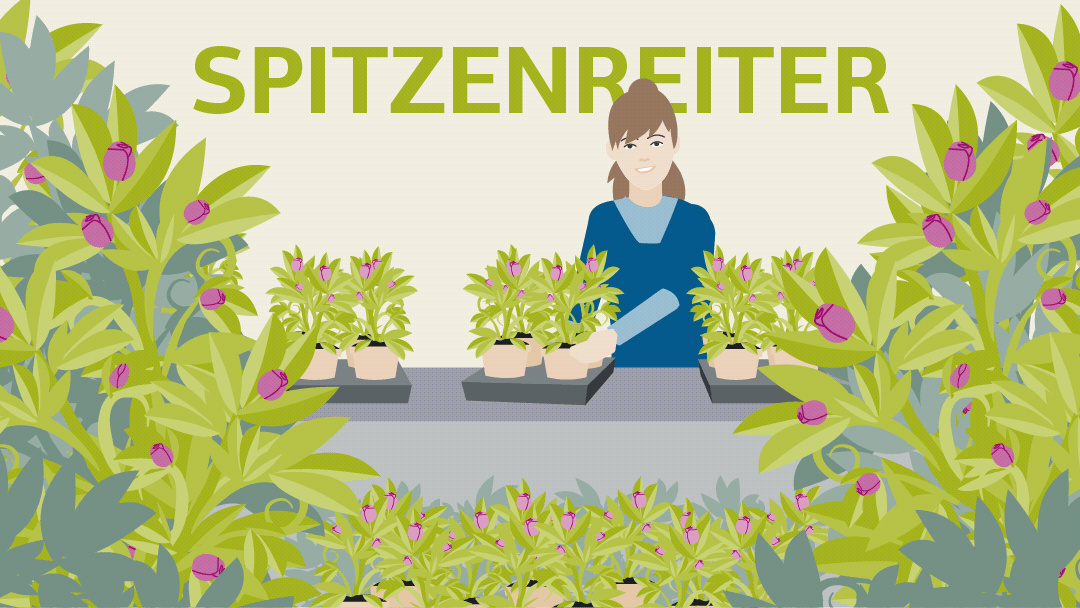 Illustration zu Spitzenreitern: Eine Frau steht an einer Theke, umgeben von Topfpflanzen.
