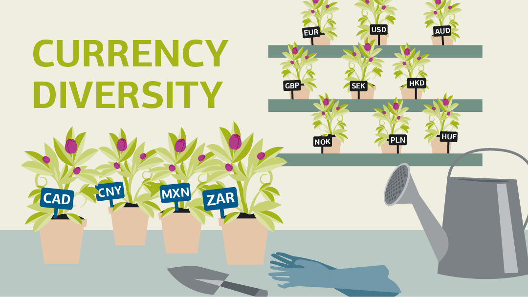 Illustration for "durrency diversity": 13 flower pots, each one is signed with a currency symbol