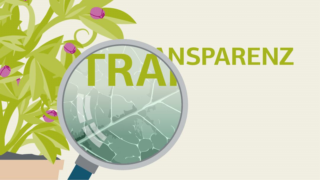Illustration zu Transparenz: Betrachtung einer Blattstruktur durch eine Lupe.