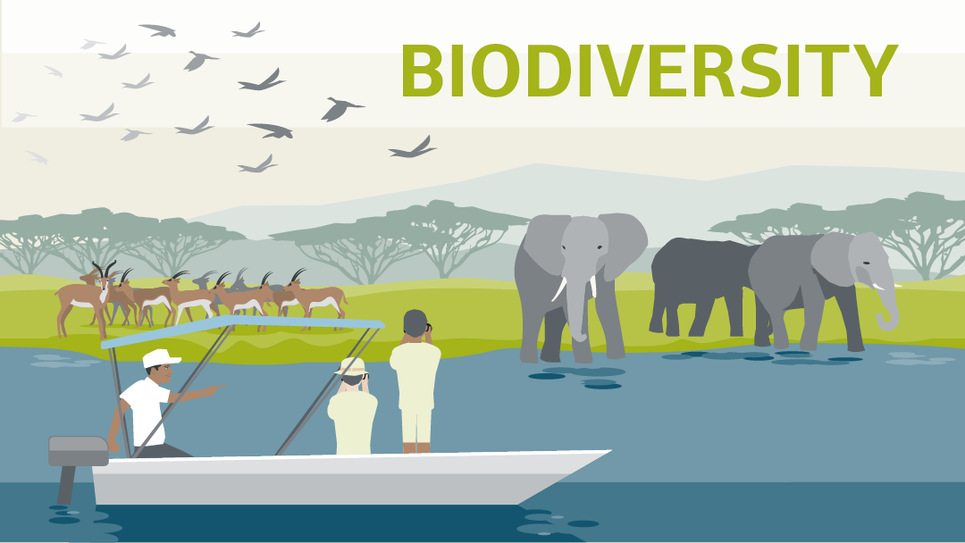 Illustration for "biodiversity": people in a boat are watching wild animals