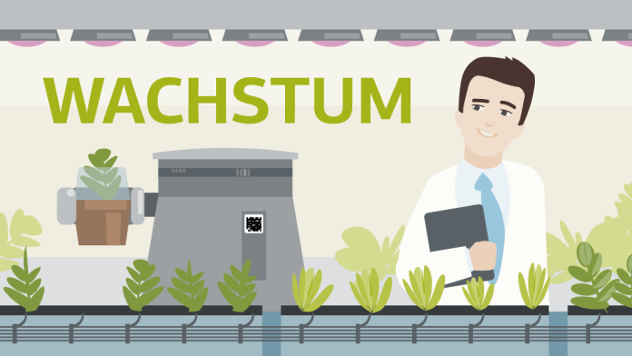 Illustration zum Thema Wachstum: Ein Wissenschaftler steht in einem botanischen Labor. Ein Roboter hebt eine der verkabelten Pflanzen nach oben.