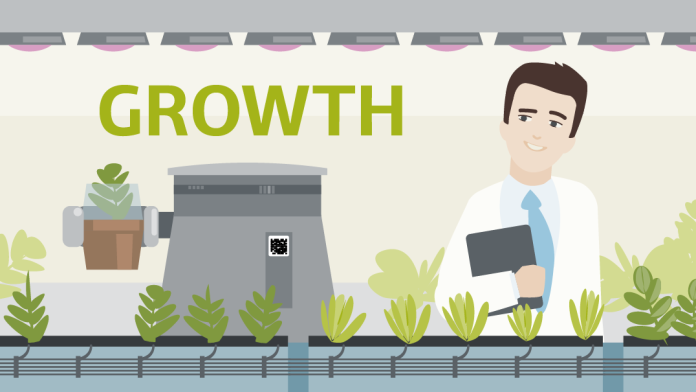 Illustration on the subject of growth: A scientist stands in a botanical laboratory. A robot lifts one of the wired plants upwards.