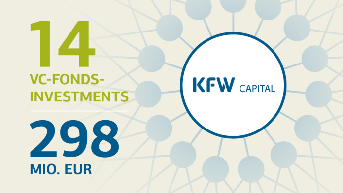 Illustration eines sich verzweigenden Netzwerkes mit KfW Capital-Logo im Zentrum