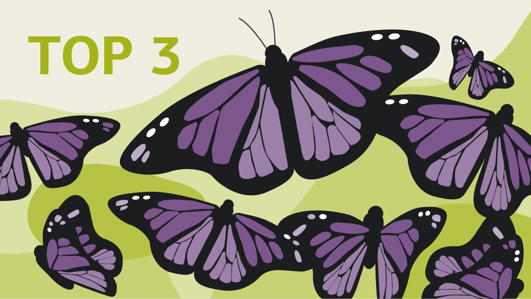 Illustration of different sized butterflies