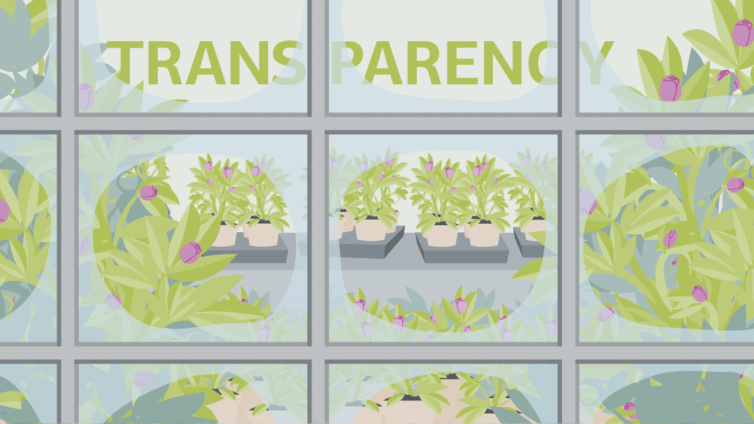 Illustration on transparency: looking through a pane of glass at plants