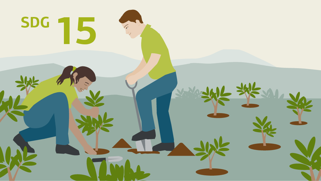 Illustration for SDG 15: 2 people are planting smal trees