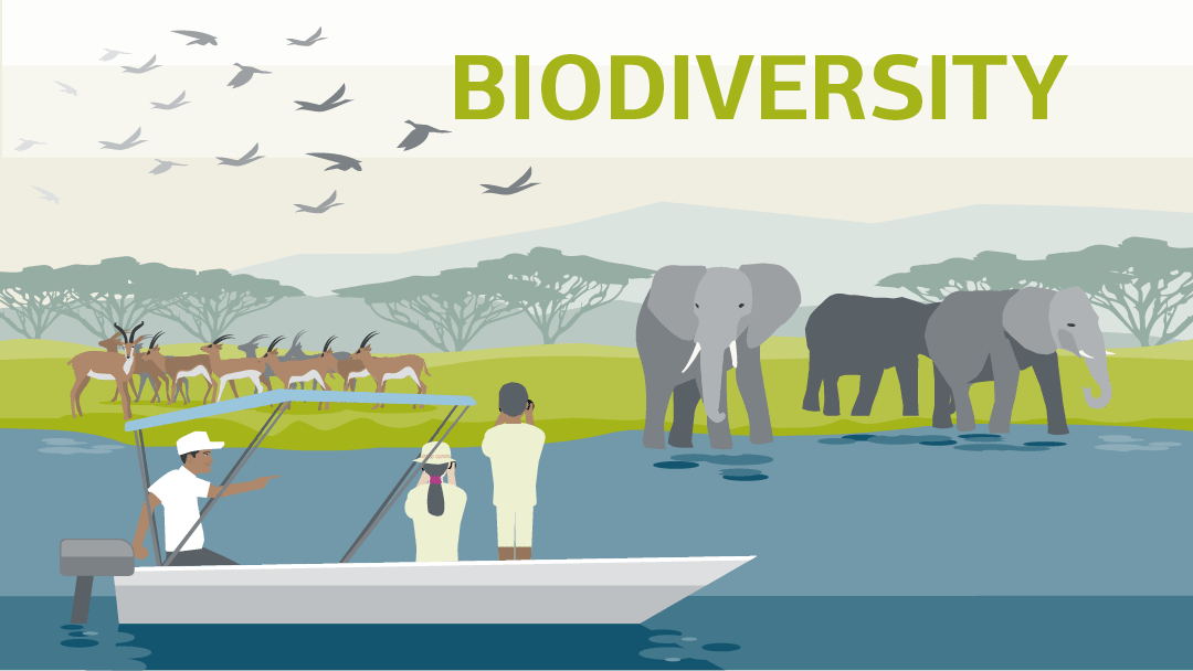 Illustration for "biodiversity": people in a boat are watching wild animals