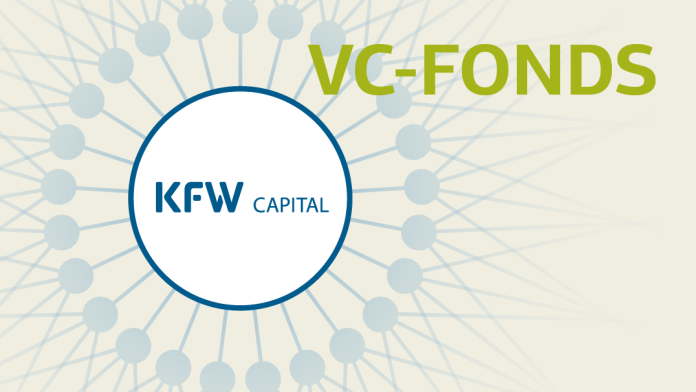 Illustration eines sich verzweigenden Netzwerkes mit KfW Capital-Logo im Zentrum