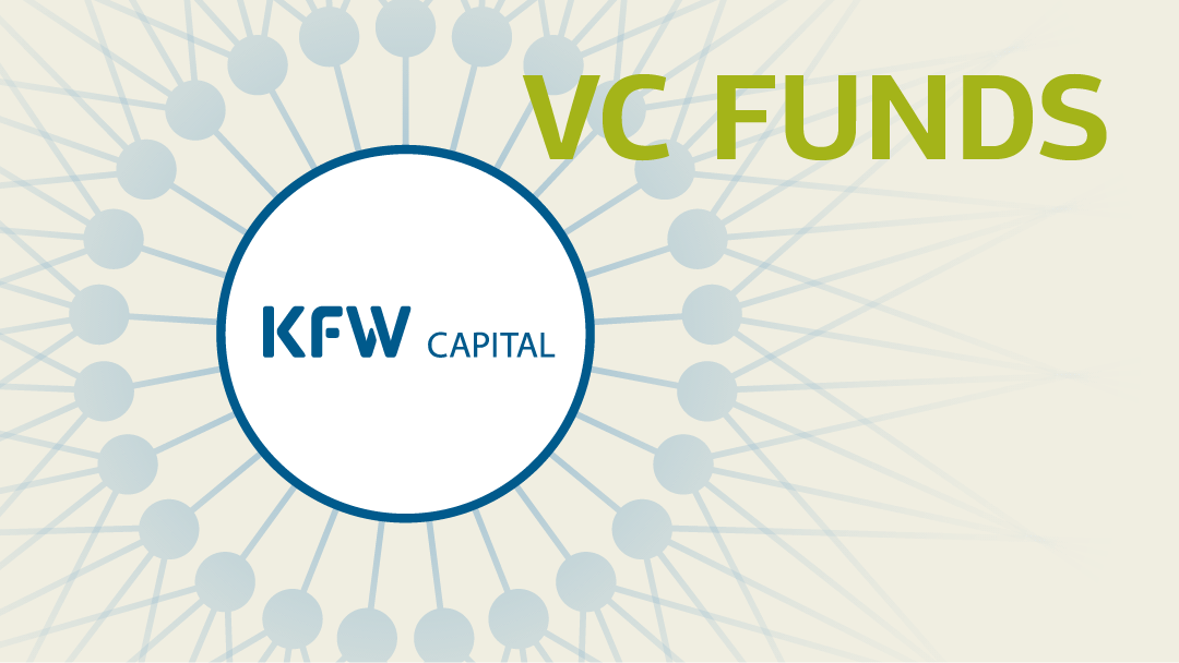 Illustration of a branching network with KfW Capital logo in the centre