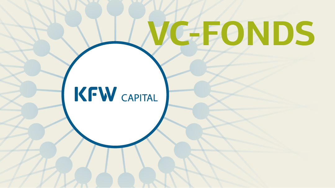 Illustration eines sich verzweigenden Netzwerkes mit KfW Capital-Logo im Zentrum