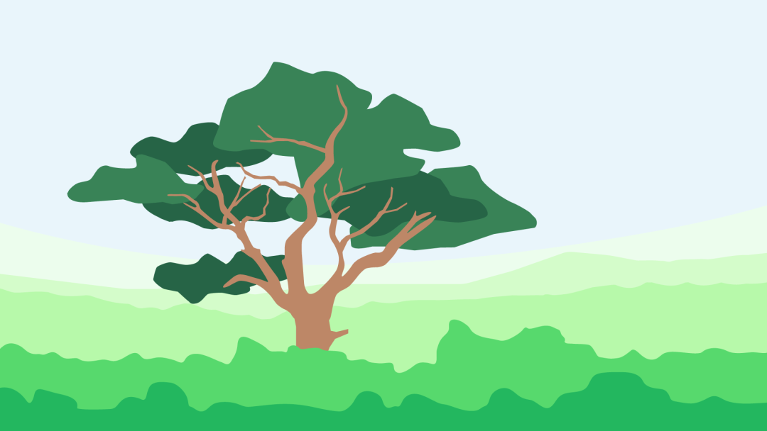 Illustration zeigt einen Bonsai Baum und grüne Landschaft