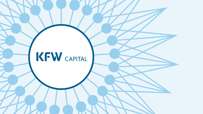 Illustration eines sich verzweigenden Netzwerkes mit KfW Capital-Logo im Zentrum