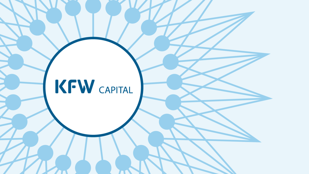 Illustration eines sich verzweigenden Netzwerkes mit KfW Capital-Logo im Zentrum