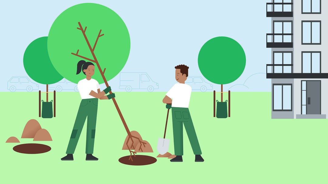 People plant tree seedlings in a city park