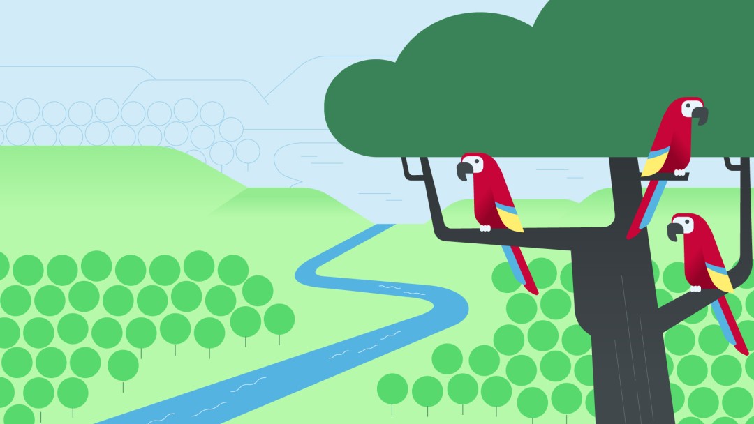 Vorskizze_Waldschutz intensivieren