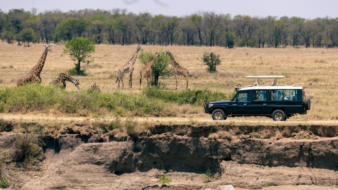 Giraffen und Safari-Auto im Serengeti Nationalpark, Tansania