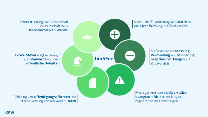 BioSFer Strategieblume