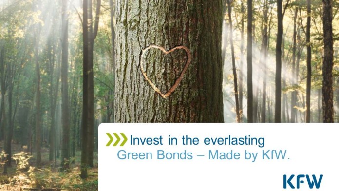 Dies ist ein Bild der Titelfolie der Greenbond Präsentation. Darauf sieht man einen Baum, der ein Herz eingraviert hat. Der Untertitel lautet 