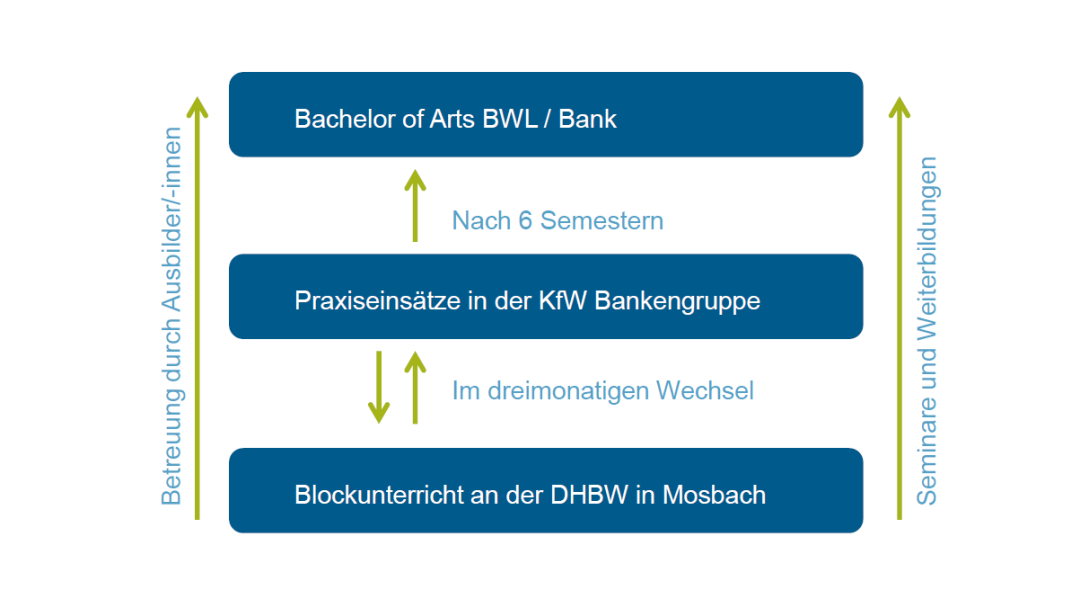 Infografik zum Ablauf des dualen Studienganges Bachelor of Arts in BWL / Fachrichtung Bank mit Schwerpunkt Digital Banking an der Dualen Hochschule Baden-Württemberg in Mosbach (DHBW).