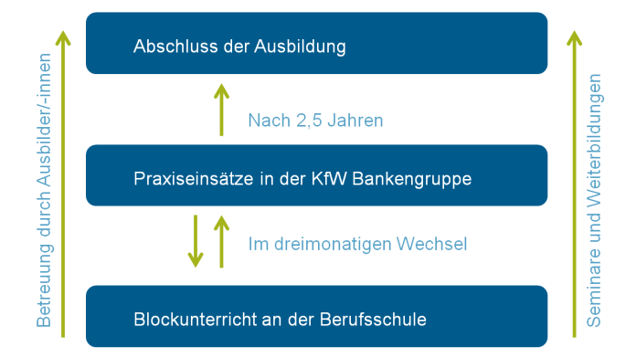 Grafik des Ausbildungsablaufs Bankkaufmann/Bankkauffrau