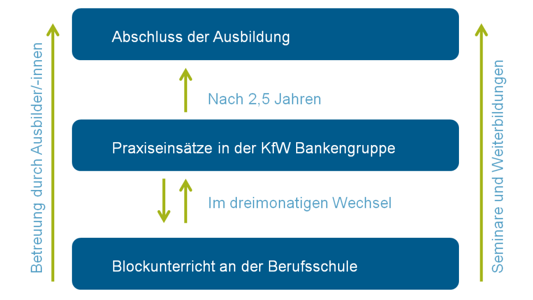 Infografik zum Ablauf des Ausbildungsberufes Bankkaufleute an den KfW Standorten in Bonn und Frankfurt