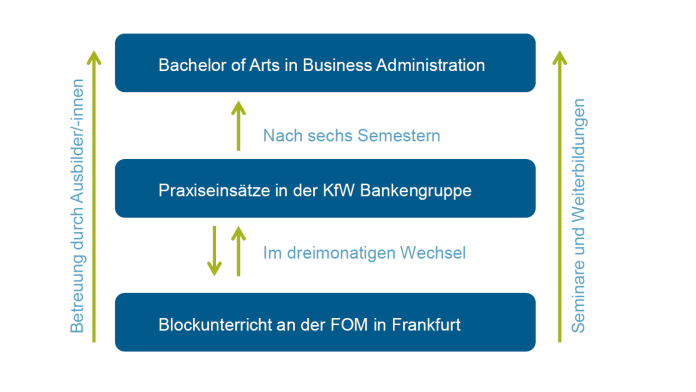 Grafik die das Studium Business Administration an der FOM kurz zusammenfasst