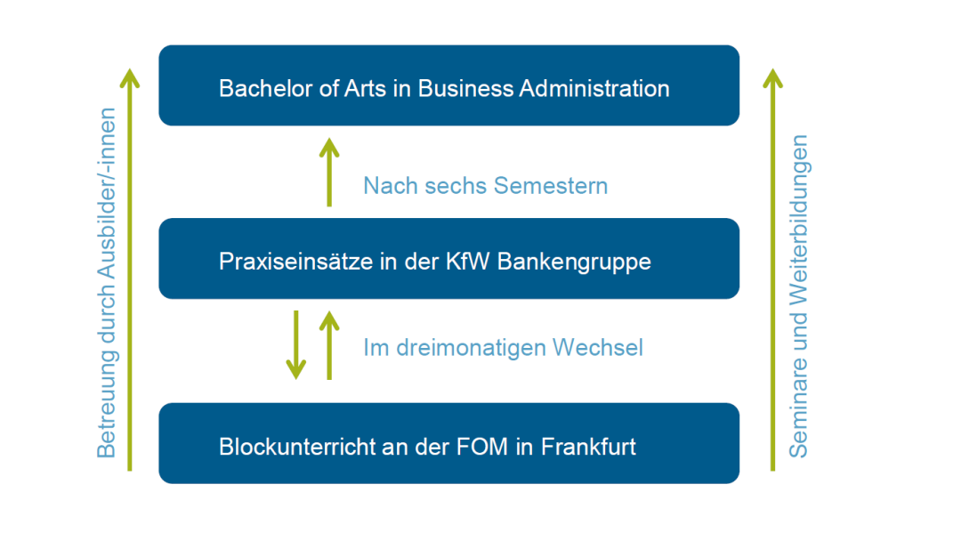 Infografik zum Ablauf des dualen Studiengang Bachelor of Arts in Business Administration an der FOM - Hochschule für Ökonomie und Management - in Frankfurt