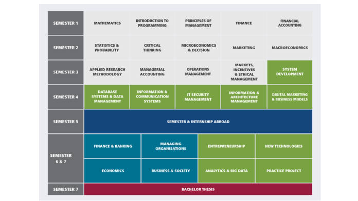 Grafik Duales Studium Bachelor of Science in Digital Business