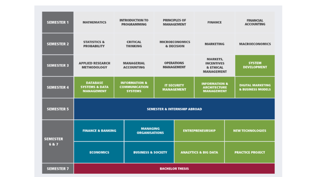Studiengangsplan Bachelor und Master of Science in Digital Business (Wirtschaftsinformatik) an der Frankfurt School of Finance and Management