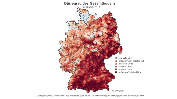 Grafik auf einen Blick