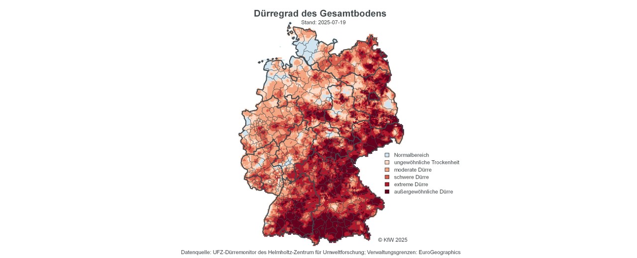 Grafik auf einen Blick