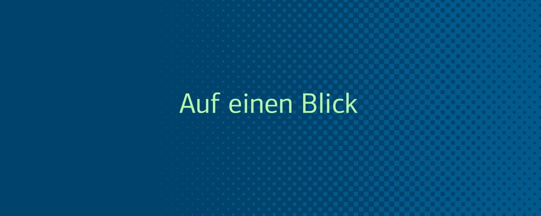 Schriftzug "Auf einen Blick" auf blauem Hintergrund