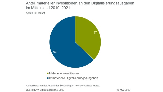 Tortendiagramm zeigt die Anteile von materiellen und immateriellen Investitionen