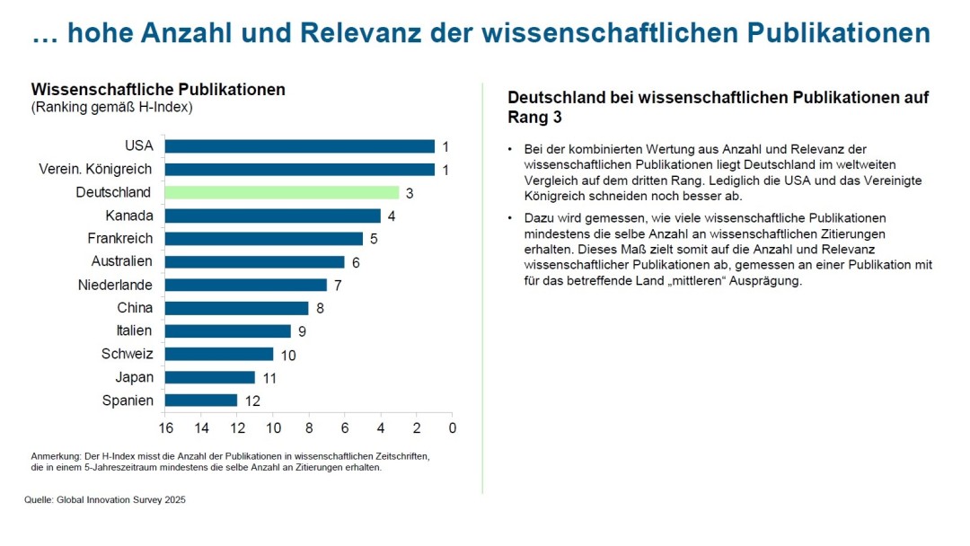Hohe Anzahl und Relevanz der wissenschaftlichen Publikationen