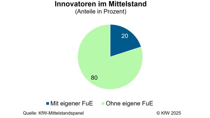 Wie häufig werden Patente und Markenrechte im Mittelstand verwendet