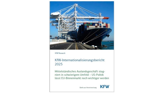 KfW Internationalisation Report