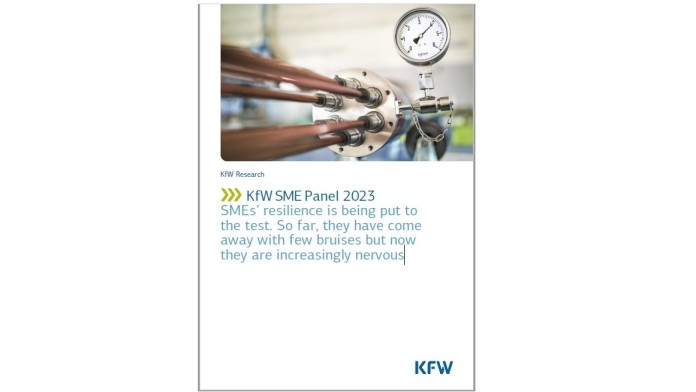 Cover KfW SME Panel